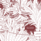 Illustration for article titled A Conversation with Jillian Tamaki, a Cartoonist Who Explores the Distance Between Desire and Reality